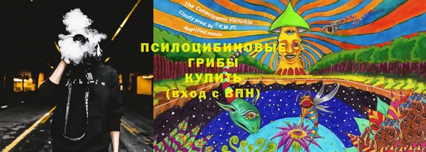 spice Баксан