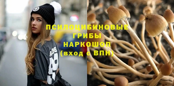 spice Баксан